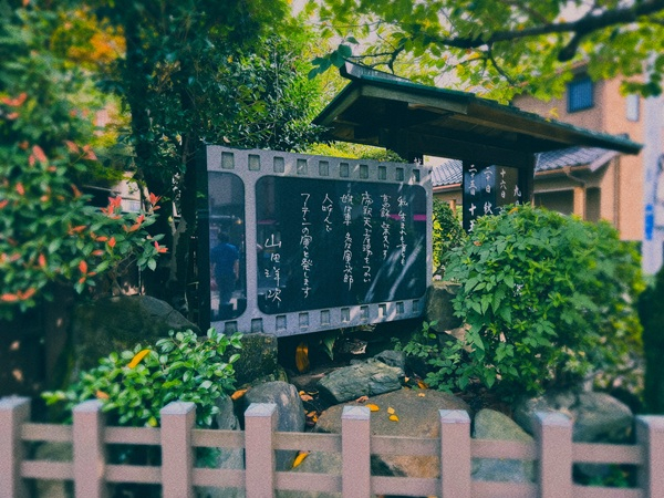 画像 -20260908-151342-e7cbd090_0784